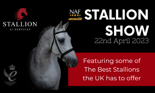 Stallion Show 2023